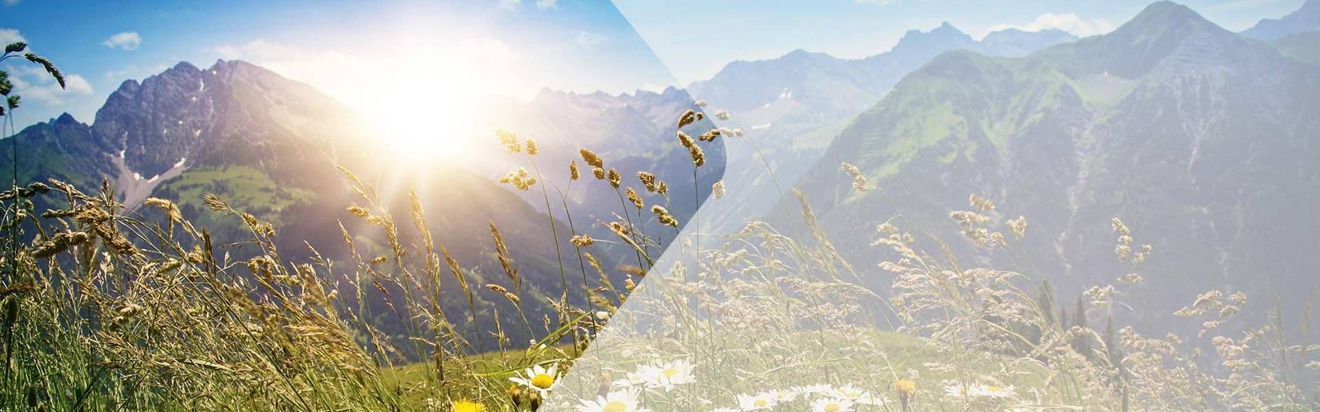 Parklösungen für Tourismusverbände