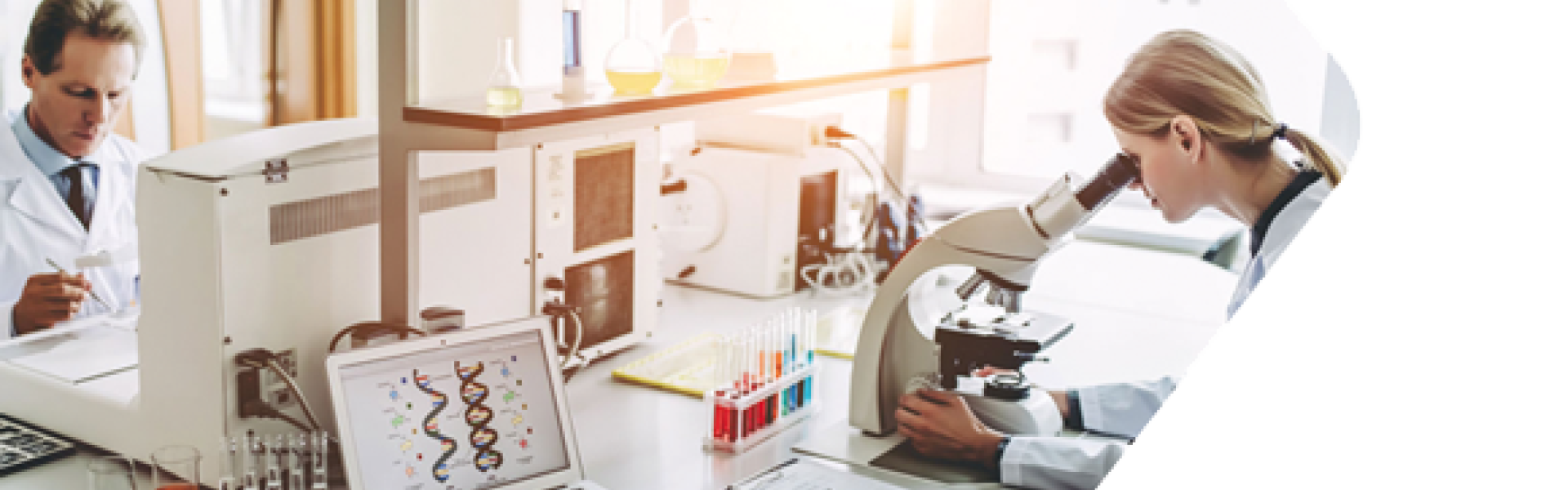 Chemielabortechniker für R&D (m/w/d)